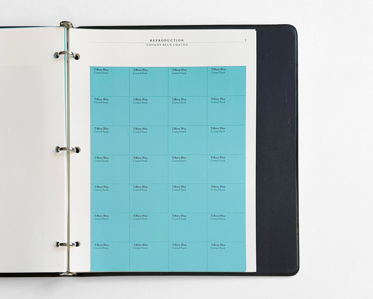 Tiffany & Co. Original Graphic Standards Manual