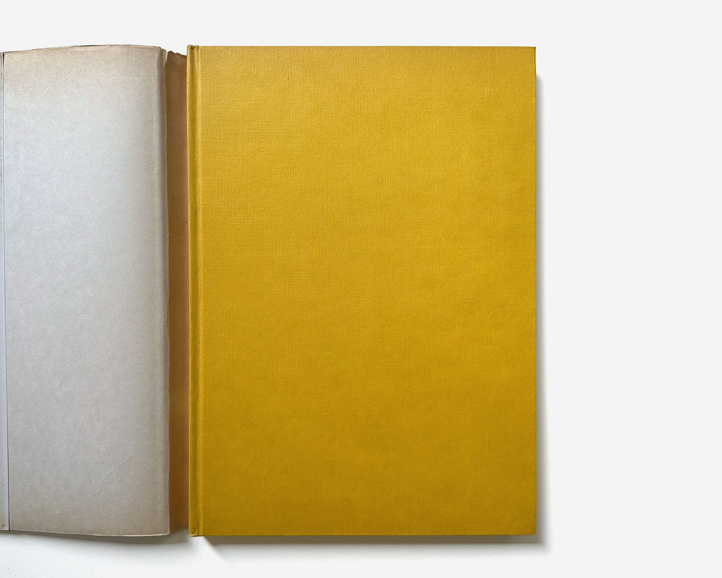 Pioneers of Modern Typography by Herbert Spencer [1st American Ed., 1970 — Recommended]