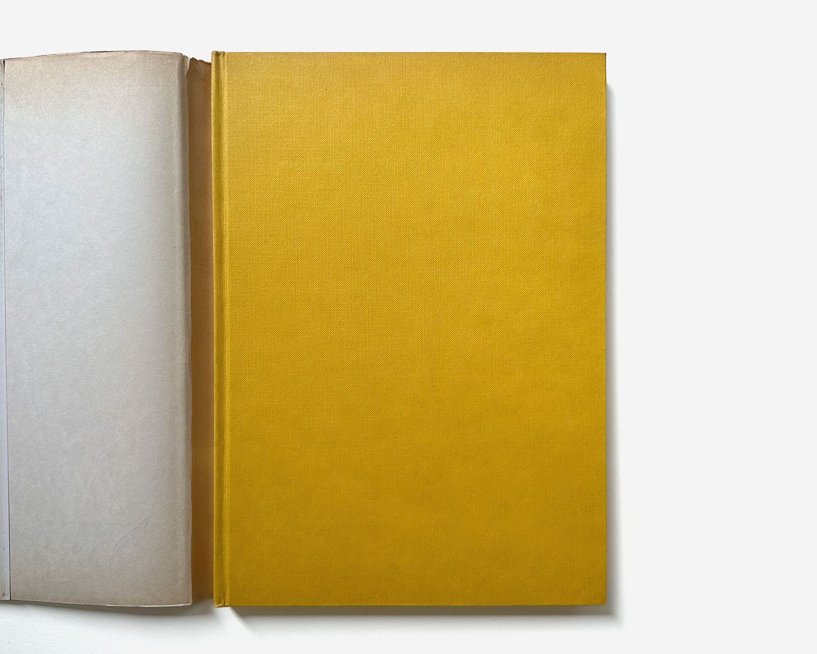 Pioneers of Modern Typography by Herbert Spencer [1st American Ed., 1970 — Recommended]