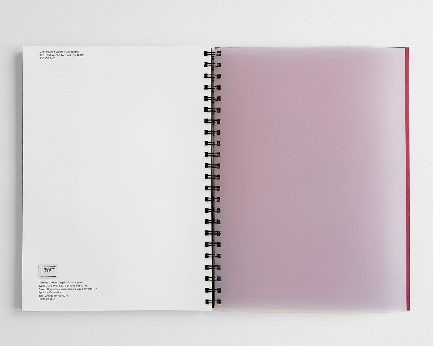 Chermayeff & Geismar Trademarks, 1979 [Self Promotional Monograph]