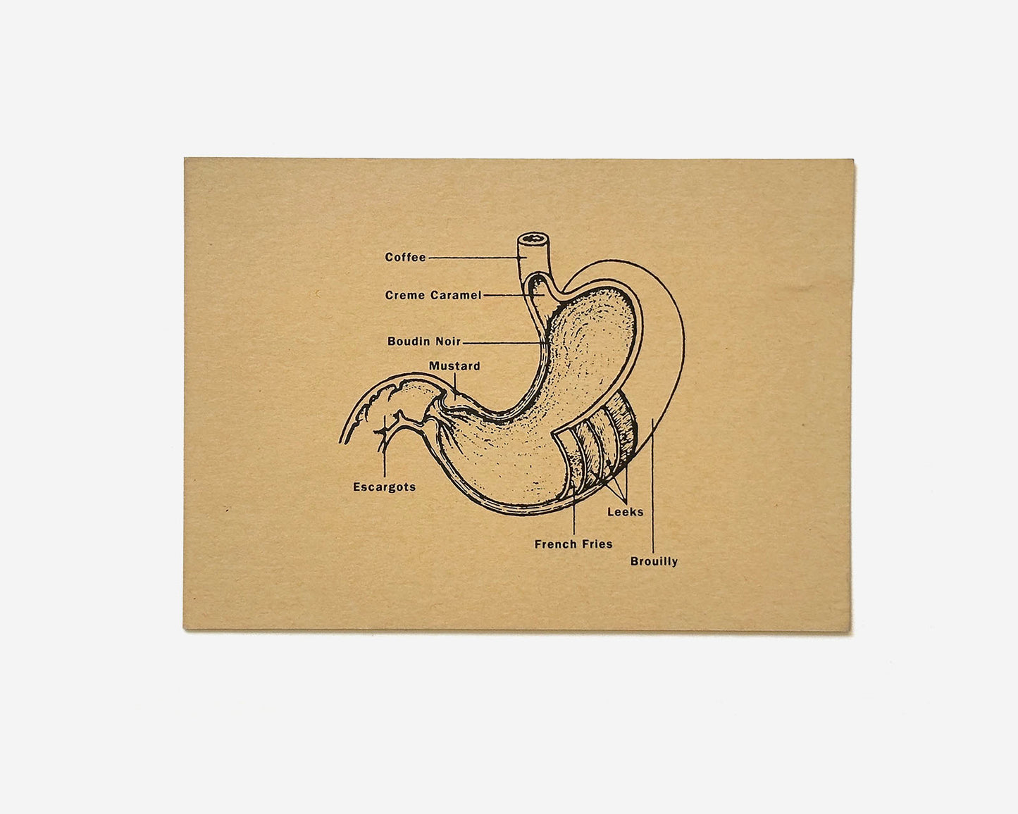 (2) Promotional Postcards, Restaurant Florent, New York City [Tibor Kalman, Douglas Riccardi]
