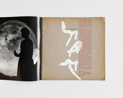 Visuele Aspekten van de Wetenschap [Visual Aspects of Science] by Will Burtin