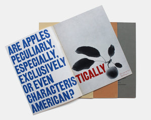 About U.S. — Experimental Typography by American Designers (4 Volumes)
