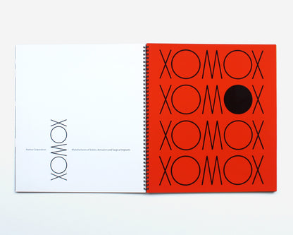 Identity Programs by Noel Martin [Promotional Booklet]